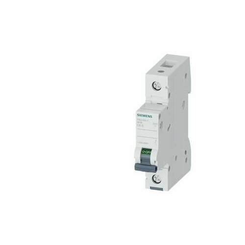 Автоматический выключатель 10ка 1-пол.